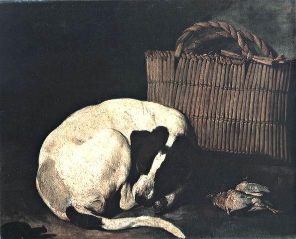 Anonimo — Arcangelo Resani. Dog and Basket. Faenza, Pinacoteca Comunale — insieme